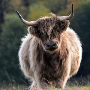 Salon agriculture à Paris
