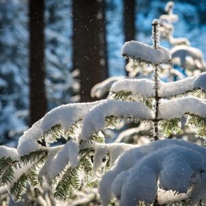 Le sortilège des neiges et l’apprenti magicien