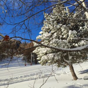 Séjour neige au Karellis