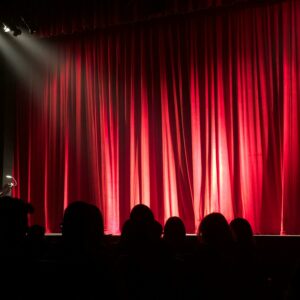 Sortie spectacle Ahmed SYLLA